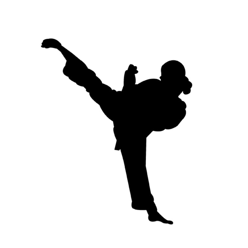 Chinese Kung Fu Master Legend Women Karate Taekwondo vinyl decal wall stickers car stickers window