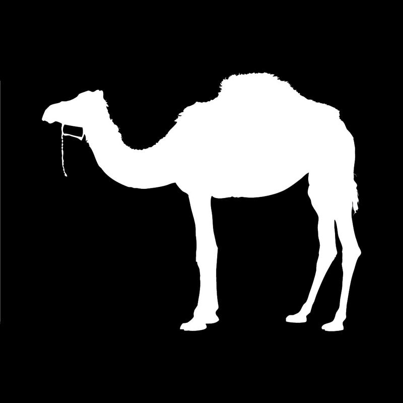 14*11.2CM Cute Camel Pattern Car Styling Personality Car Stickers Motorcycles Decal Black