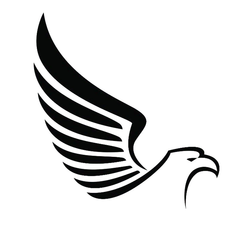 Cartoon Eagle Bird Wings Decals High Quality Car Window Decoration Personality Pvc Waterproof Decals Black-white, 15cm*16cm