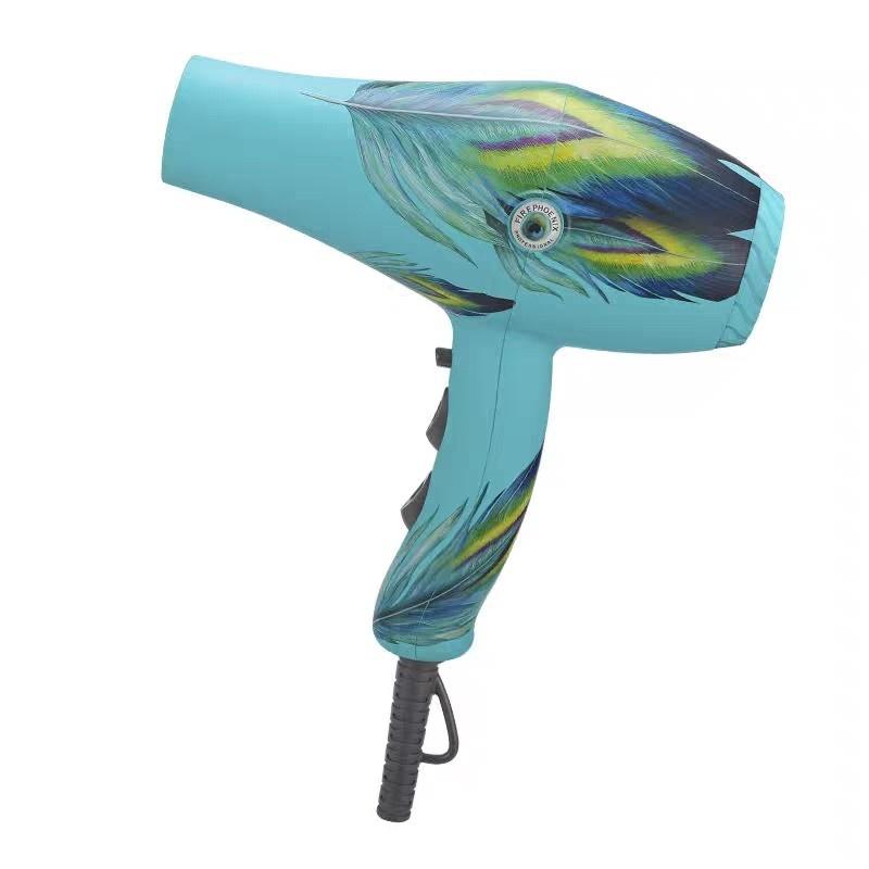 Electric Hair Brushes Fire Phoenix Dryer Stylist Special Salon High Power Barber Shop Home Mute 2200W Quick Dry 8960