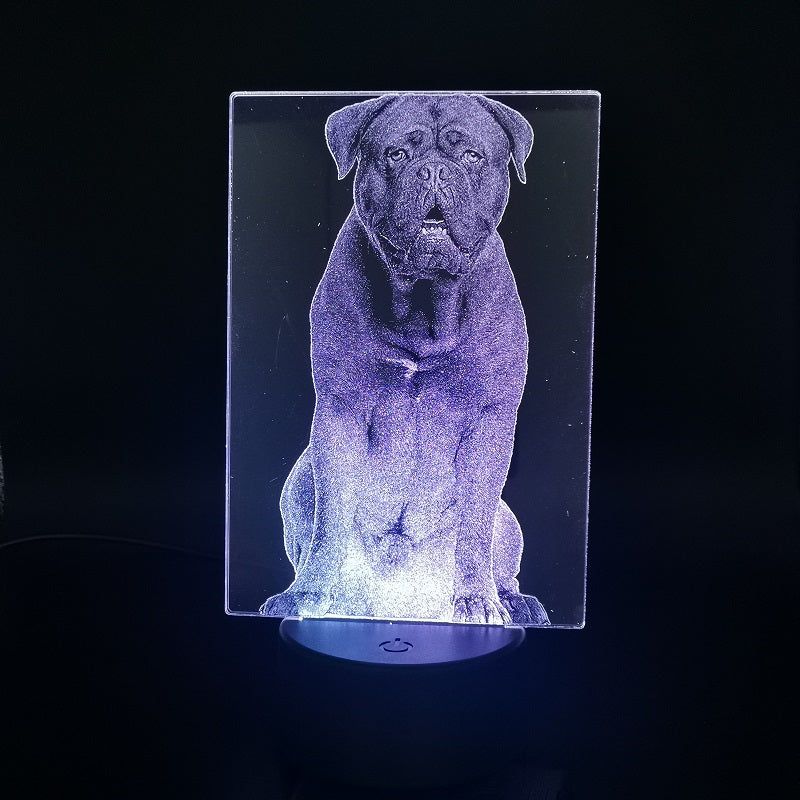 LED Kids Room Night Light Touch Switch 3D Acrylic Nightlight Dog Dogue De Bordeaux Desk Lamp APP Control Baby Birthday Gift