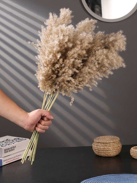 Wedding use pampas grass flower bunch Natural Dried Reed flower christmas decor pampas grass flower bunch Modern Home Decoration 210624