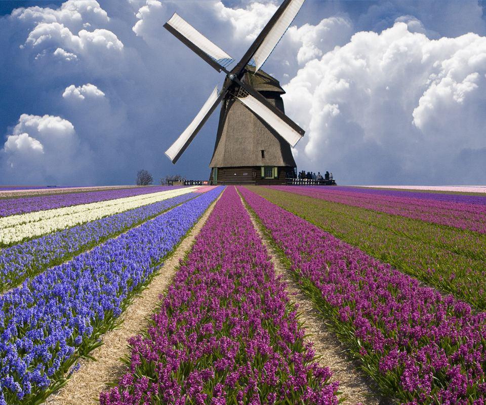 Apparel Dresses Women&#039;s Clothing Casual Dresses Natural Wooden Soap Dish Draining Shower Bathroom Grille Sponge Soaps Holder Container Storage