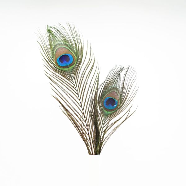 10Pcs 25-30cm Party Decor Peacock Feather For Home Vase Flower Arrangement Decorative Earrings Headdress Accessories Dyed plumage Crafts