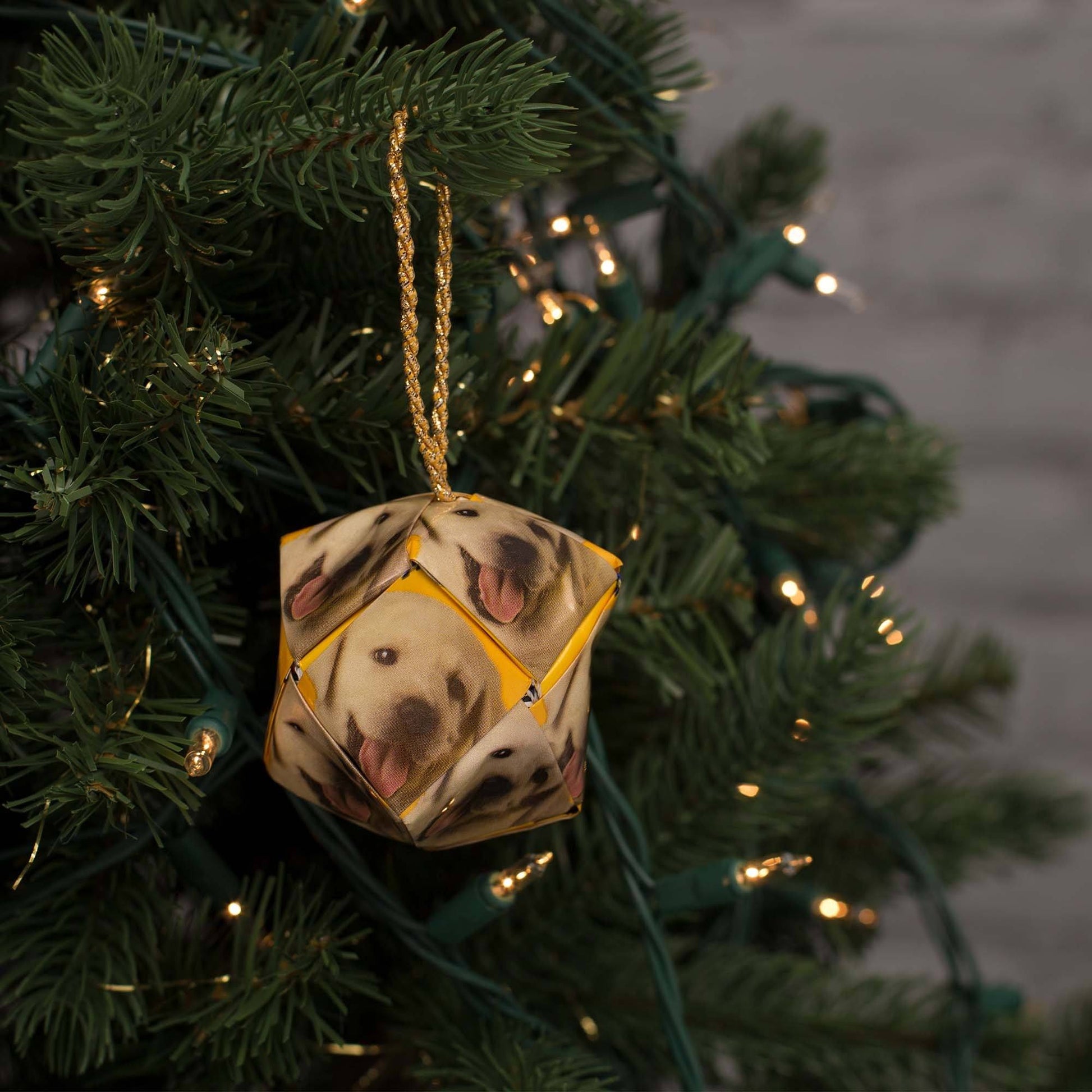 Recycled Dog Food Ornament - Single