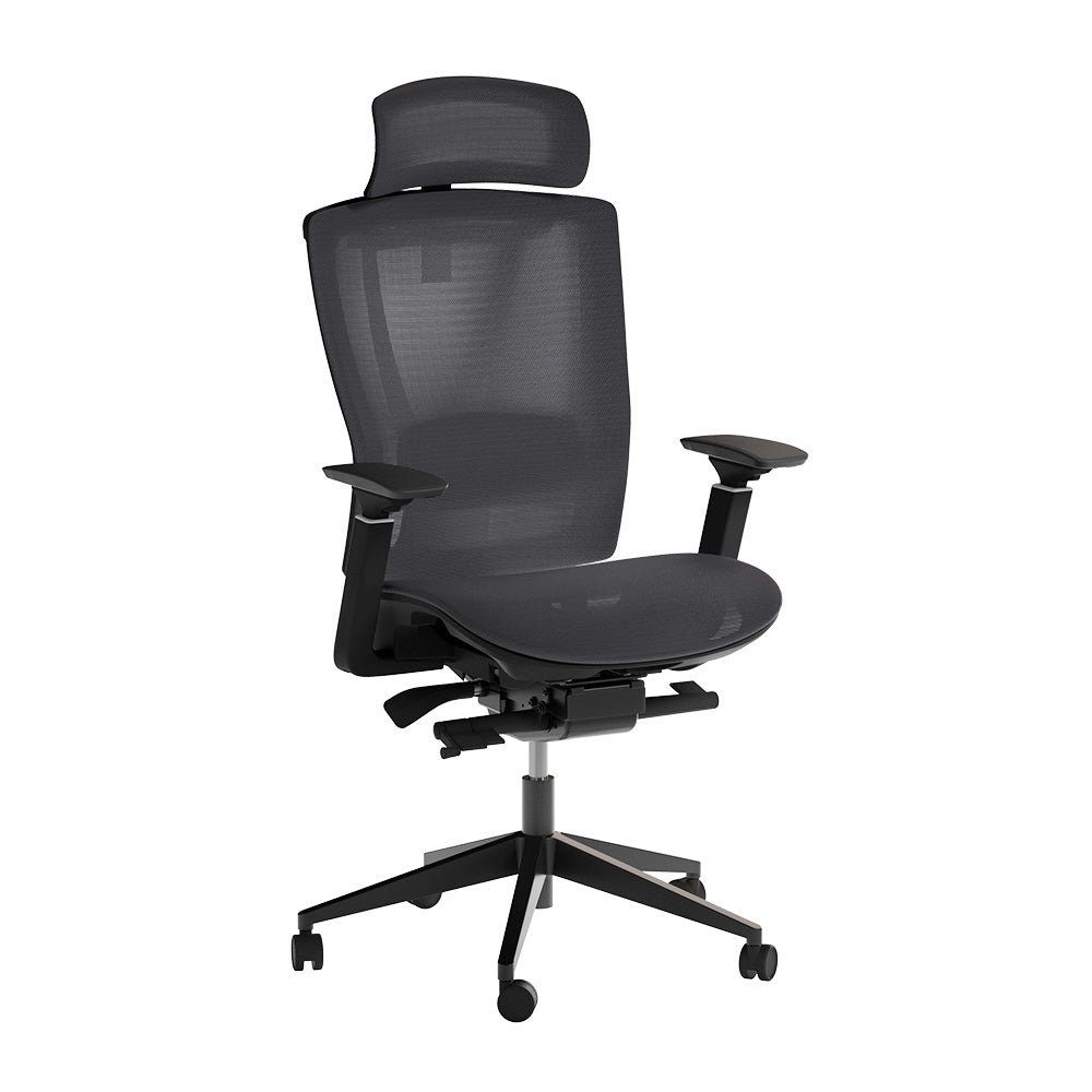 Autonomous ErgoChair Mesh Ergonomic Office Chair Black