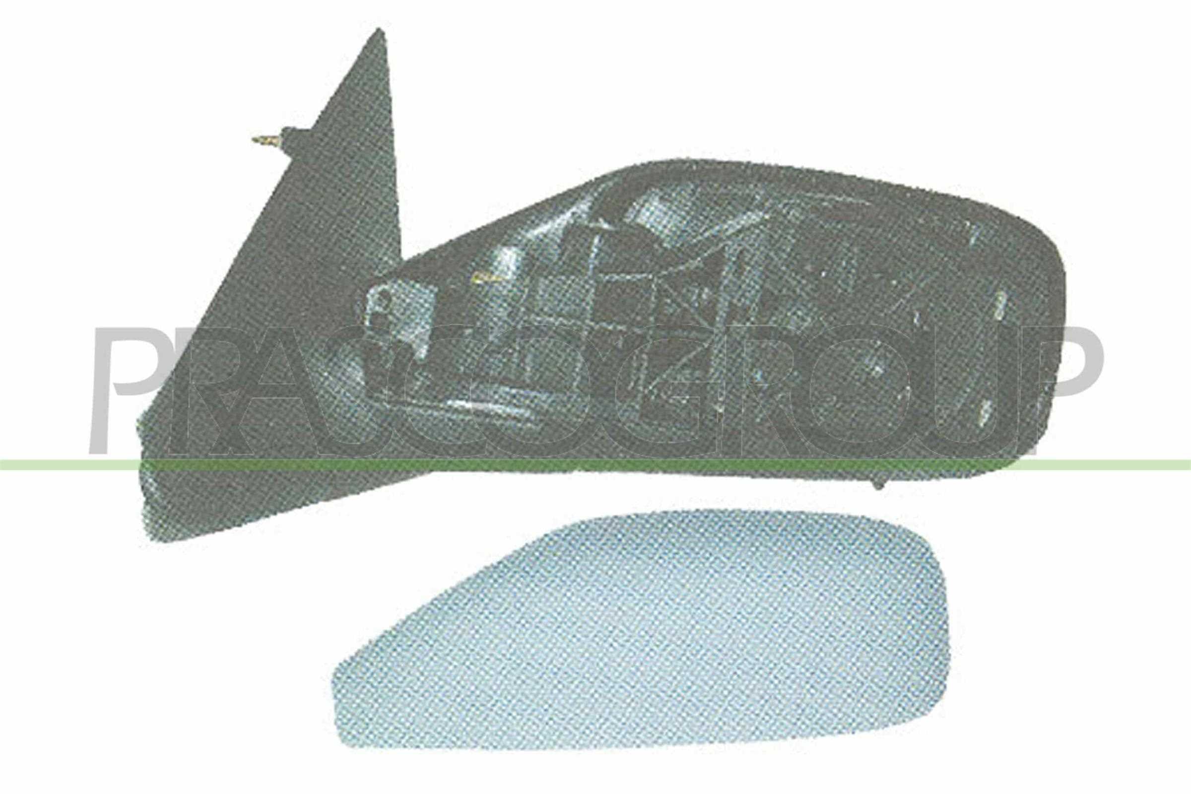 Exterior Mirror PRASCO RN0847313