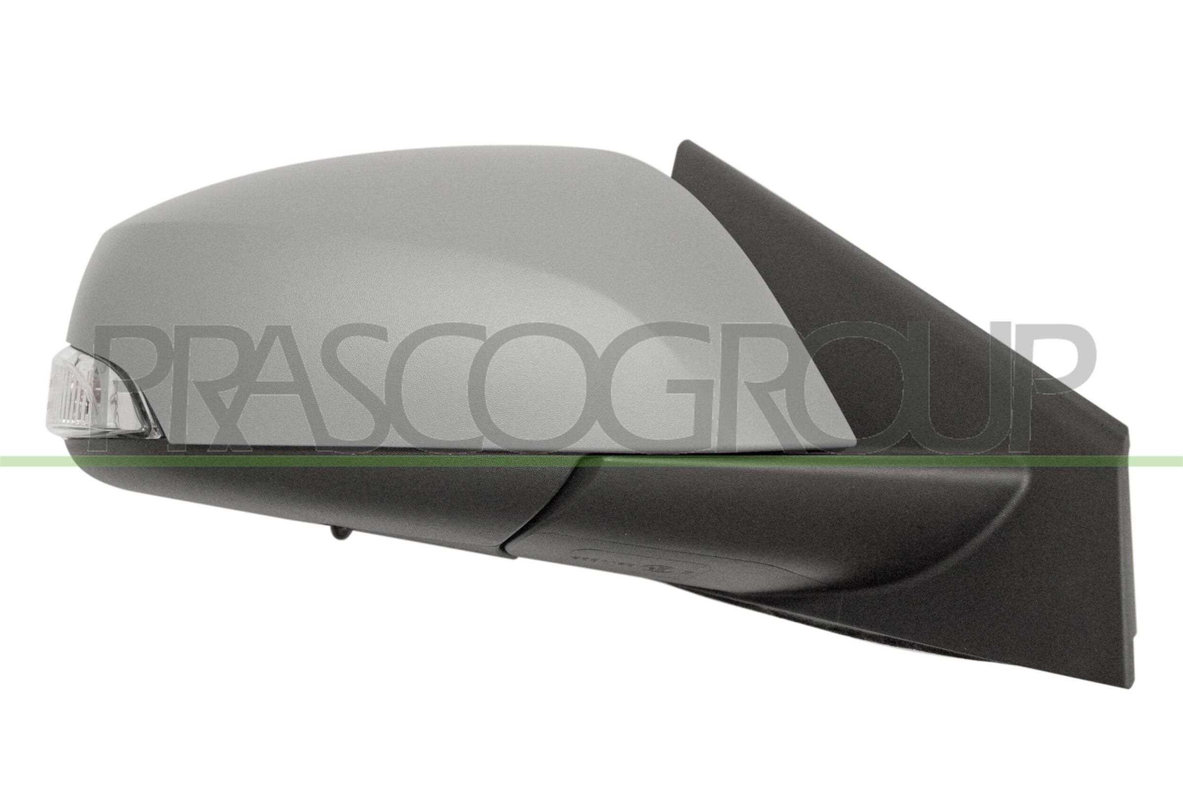 Exterior Mirror PRASCO RN0867323