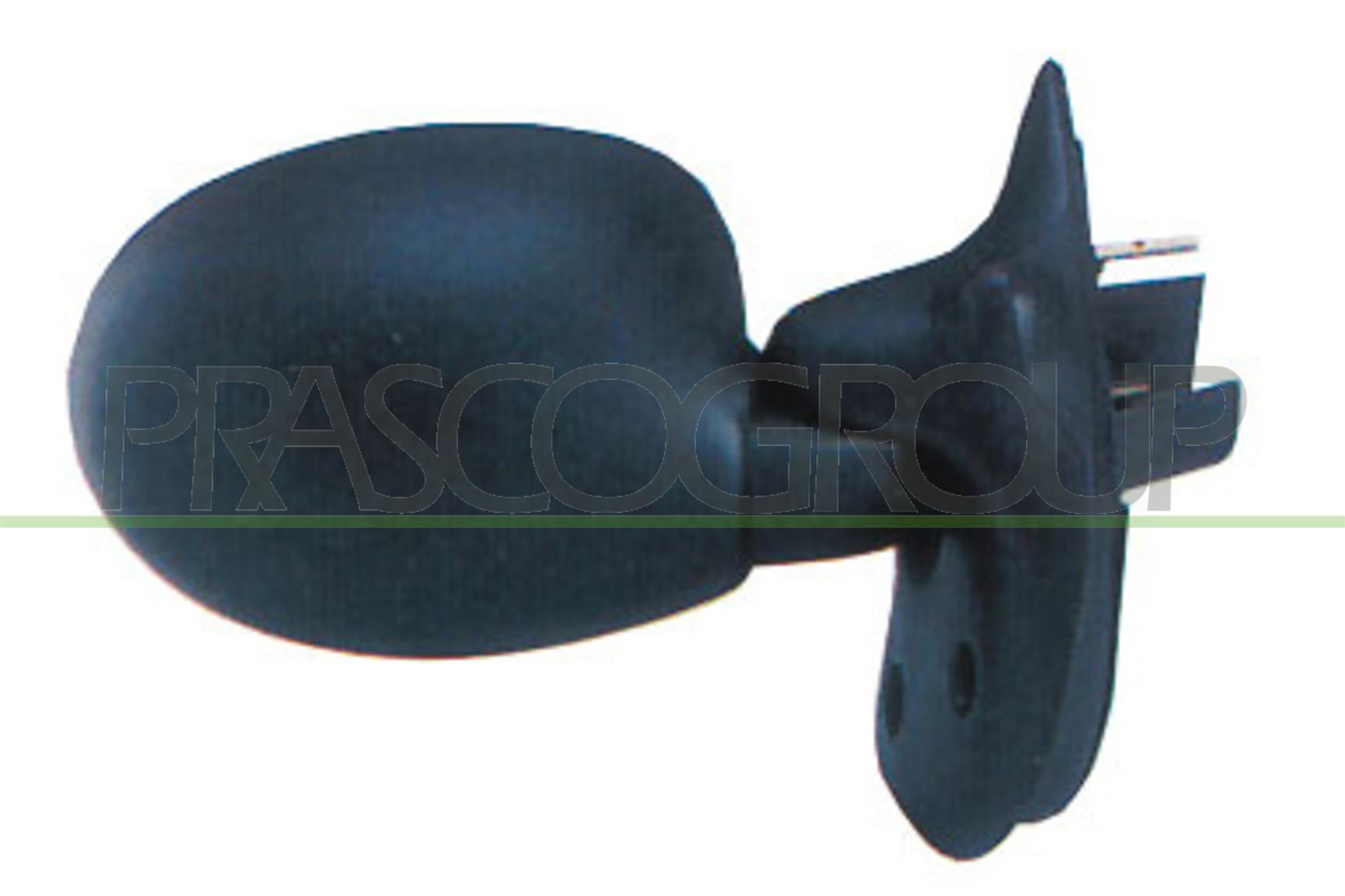Exterior Mirror PRASCO RN3047203