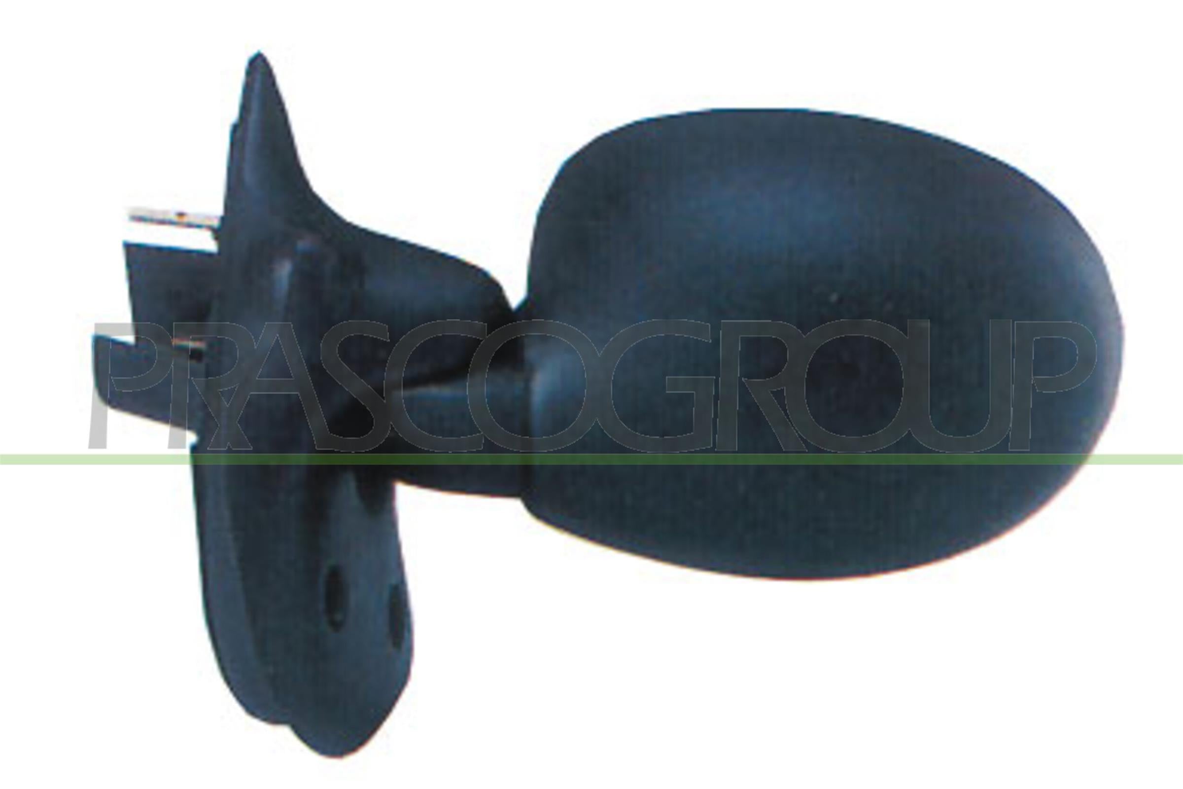 Exterior Mirror PRASCO RN3047204