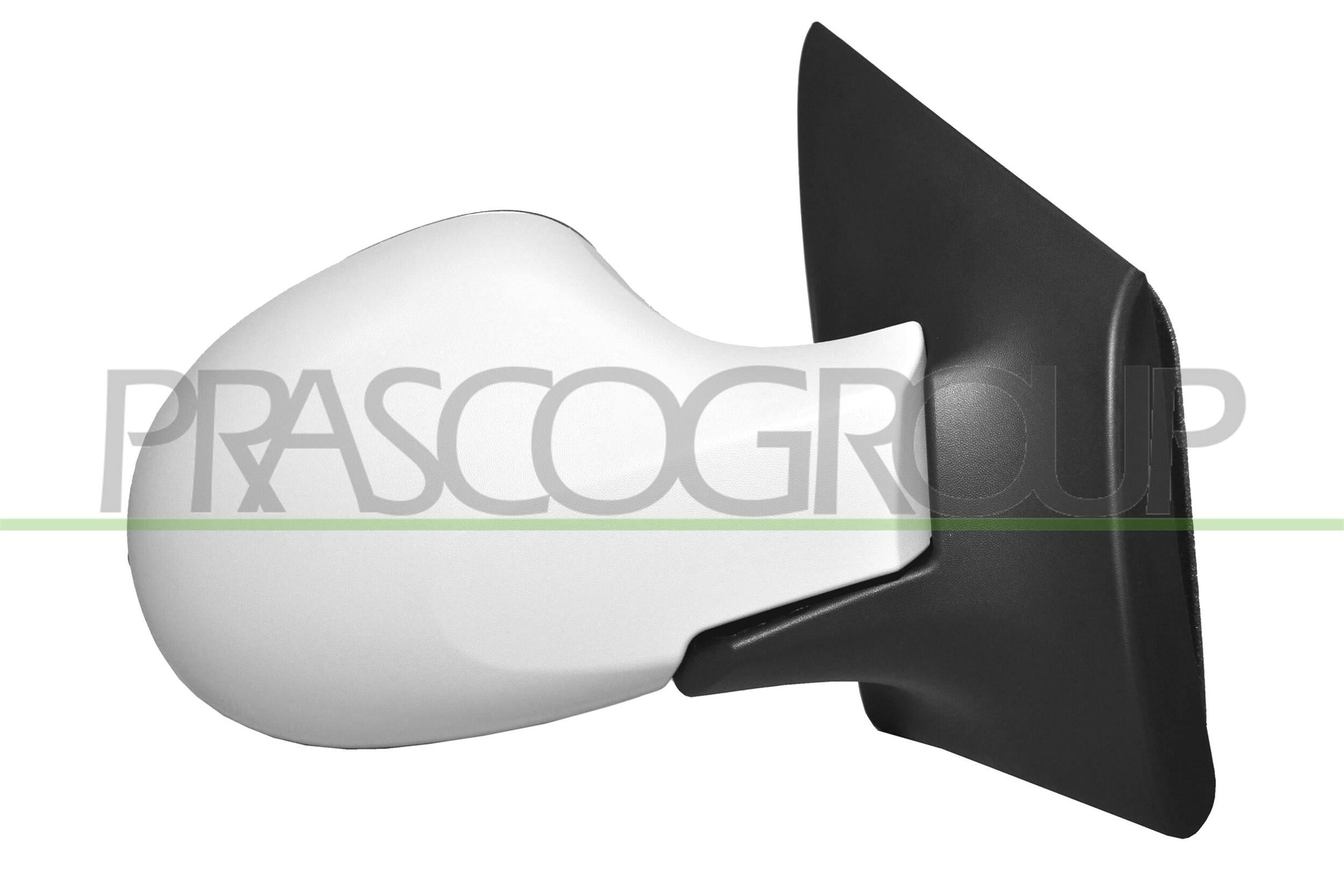 Exterior Mirror PRASCO RN3067313P