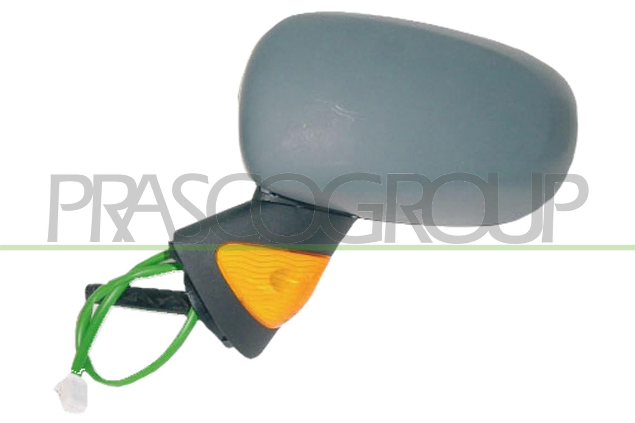 Exterior Mirror PRASCO RN3087324P