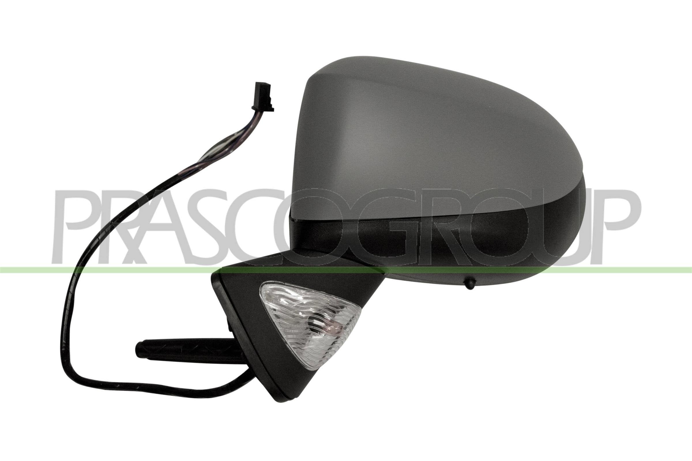 Exterior Mirror PRASCO RN3107344