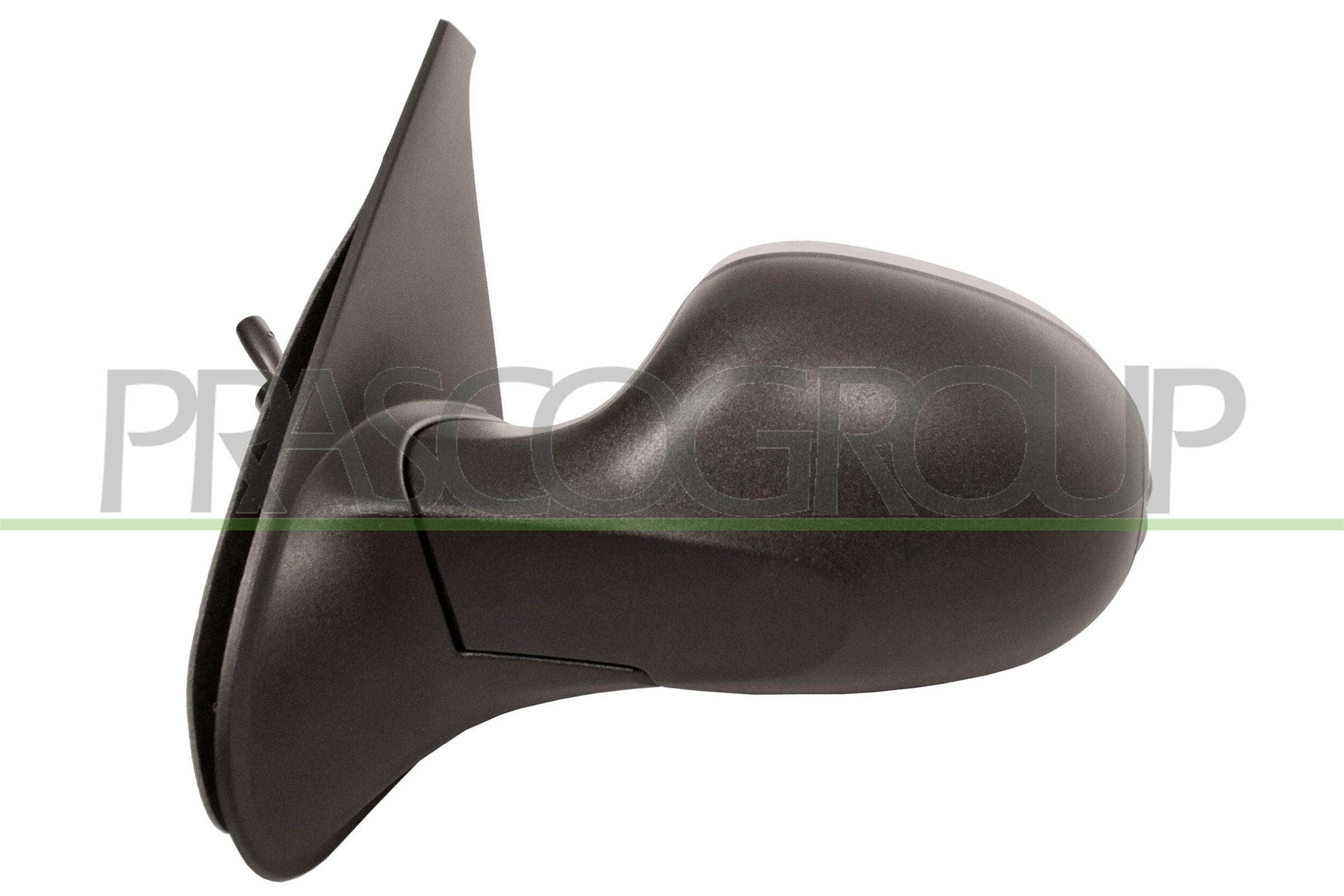 Exterior Mirror PRASCO RN3267114