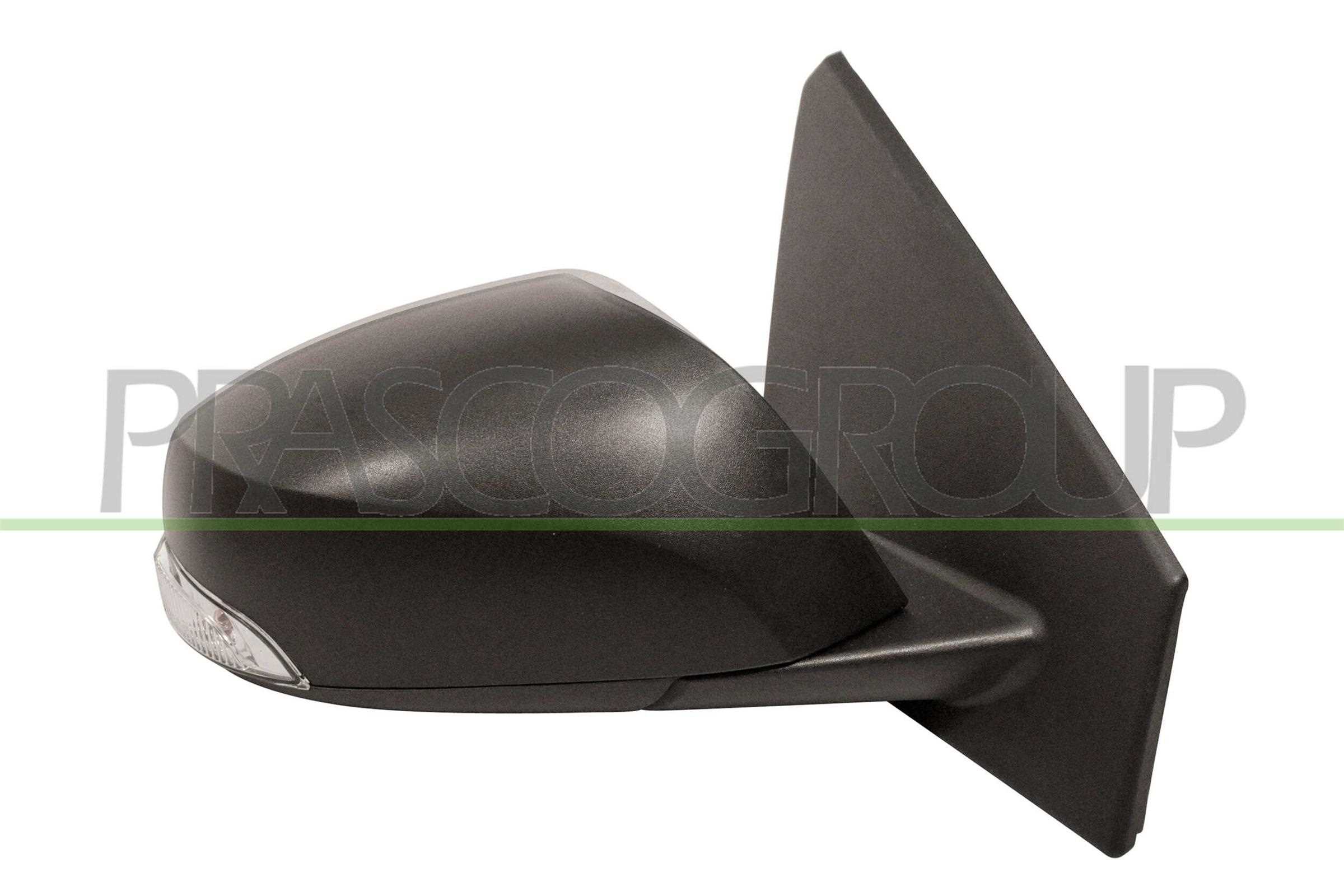 Exterior Mirror PRASCO RN4247323P