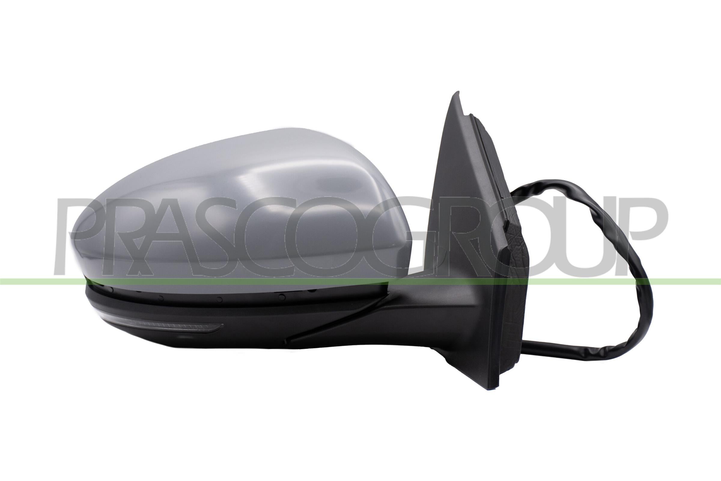 Exterior Mirror PRASCO RN4307313