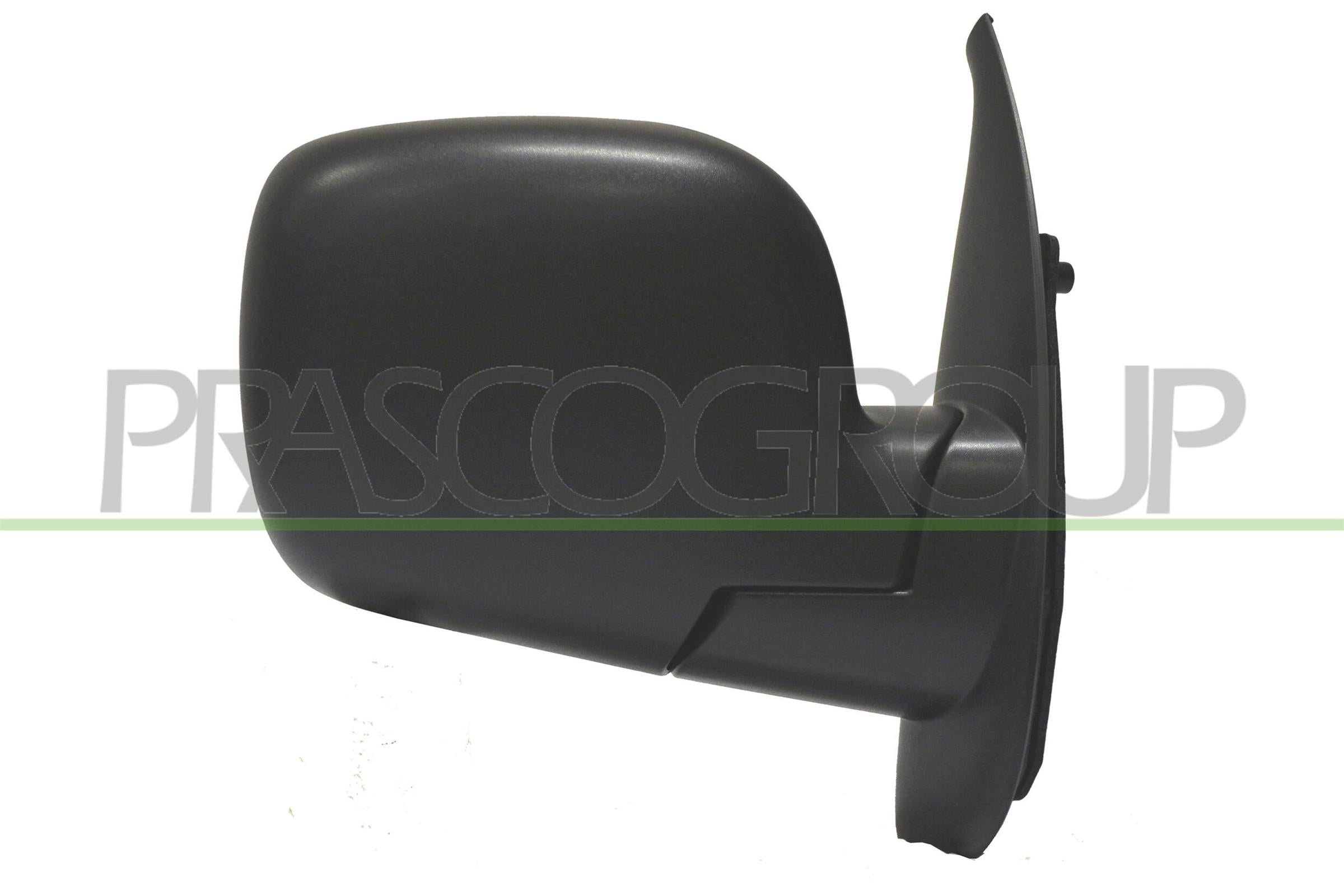 Exterior Mirror PRASCO RN9187303