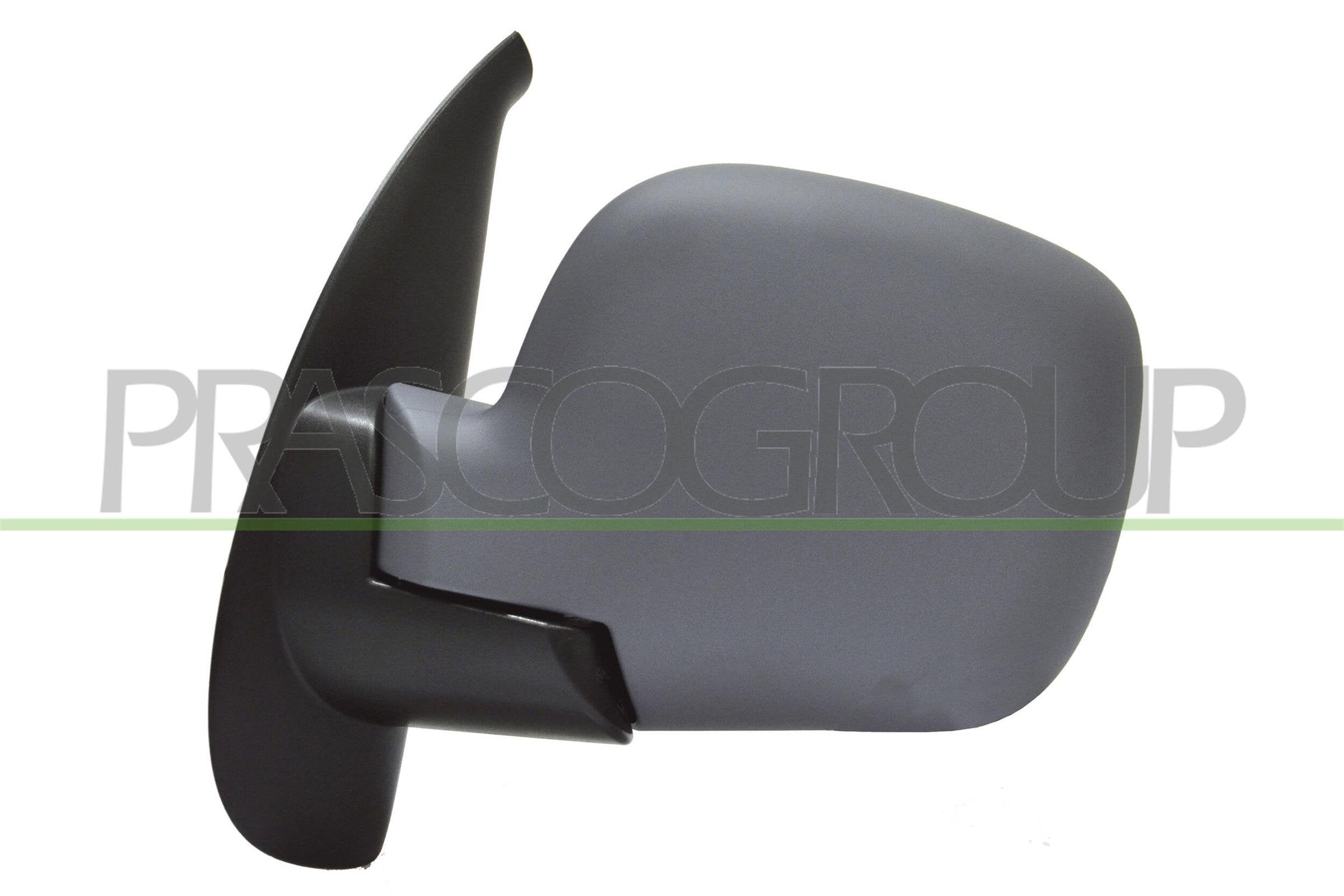 Exterior Mirror PRASCO RN9187314
