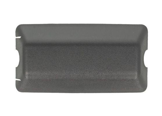 Cover, exterior mirror PACOL RVI-MR-016