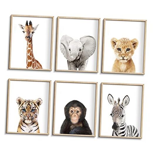 Set of 6 Baby Safari Wall Decor - Picture Cute Animal Wall 8x10 inch Nursery