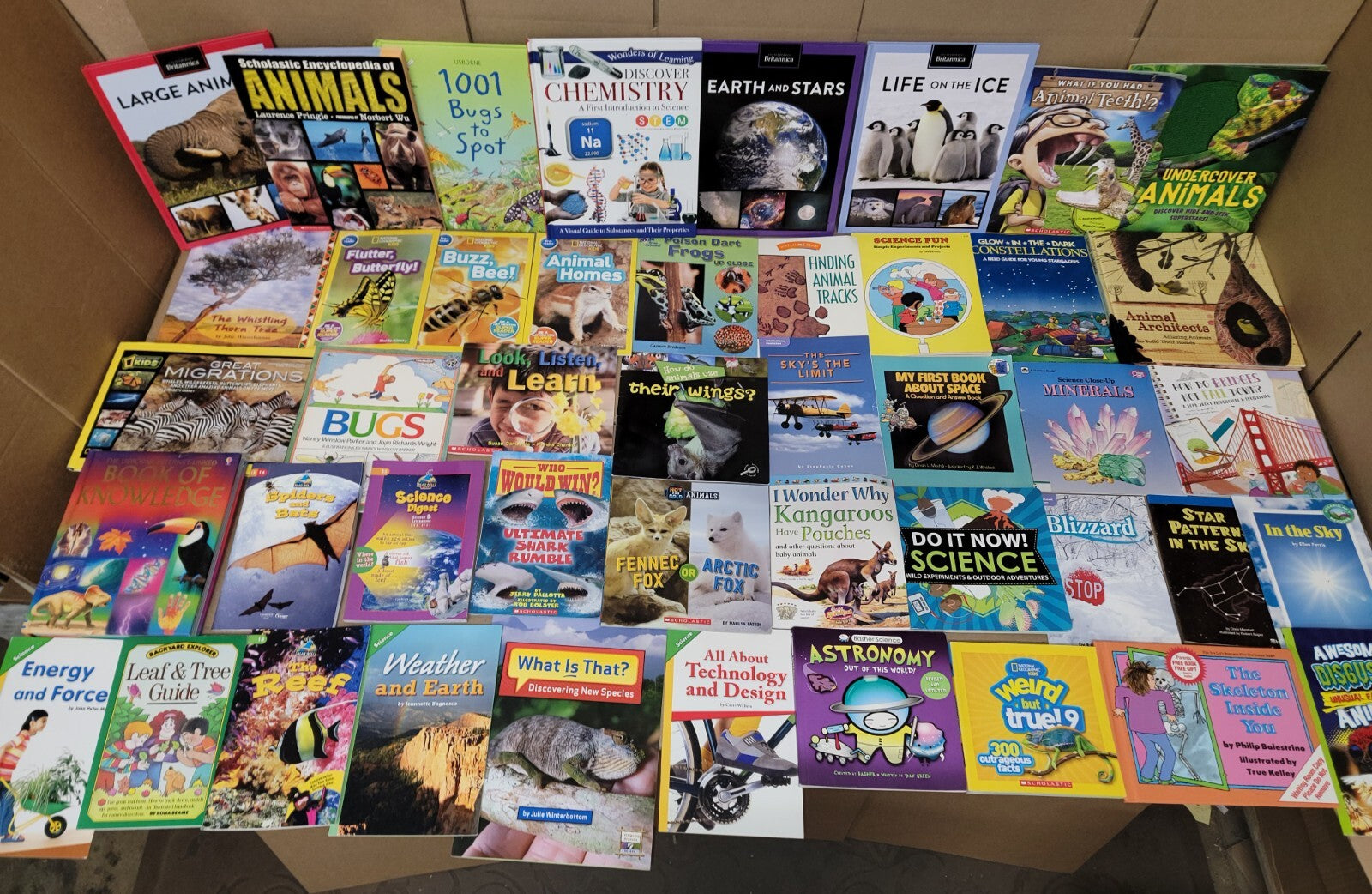 Lot of 10 Science Nature Experiment Animal Educational Learn Kid Child Books MIX