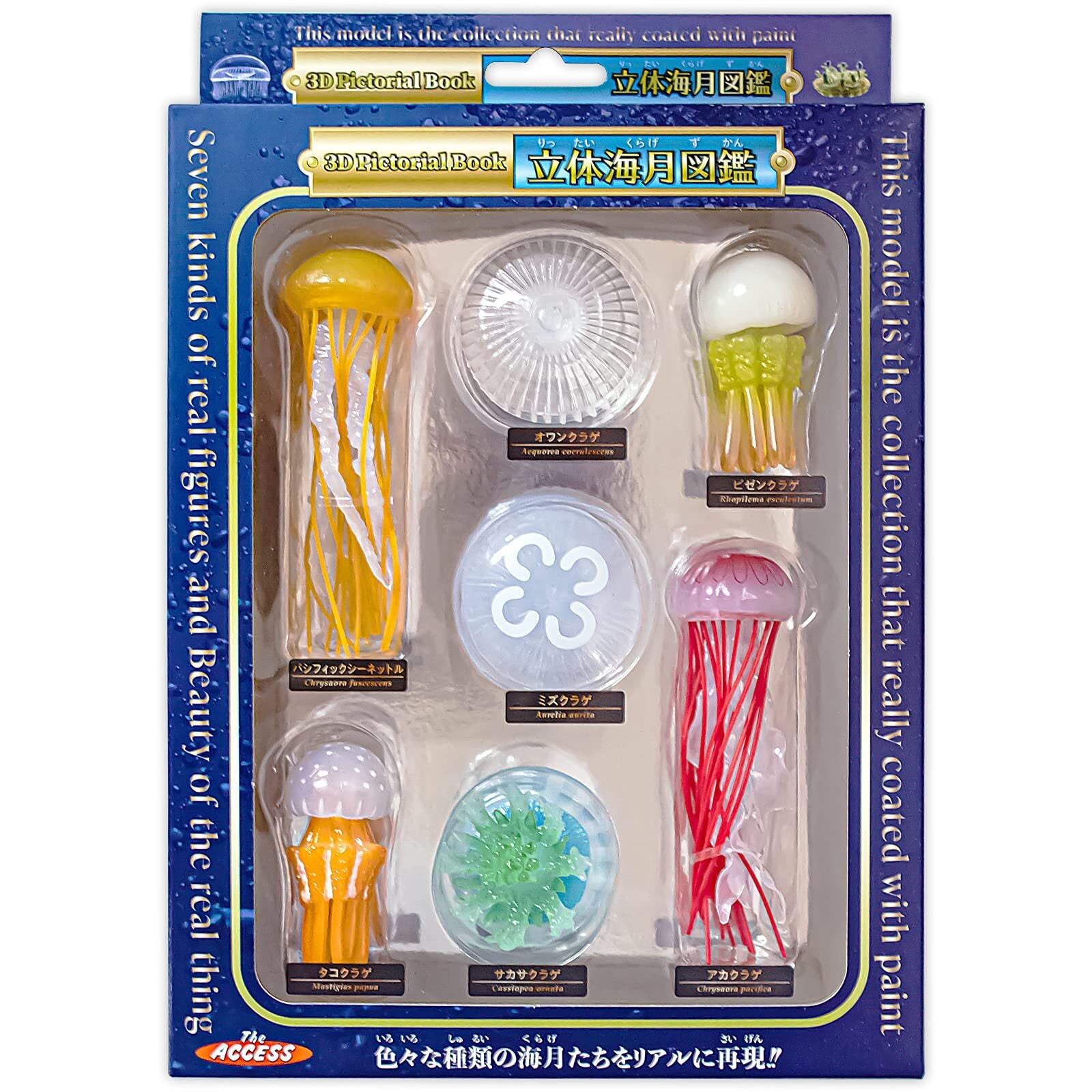 The Access Figures Jellyfish 3D Picture Book Animals Aquarium Toys