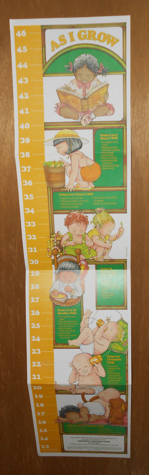 Vintage 1991 Connect Childrens Growth Chart Paper Poster Pennsylvania Baby Kids