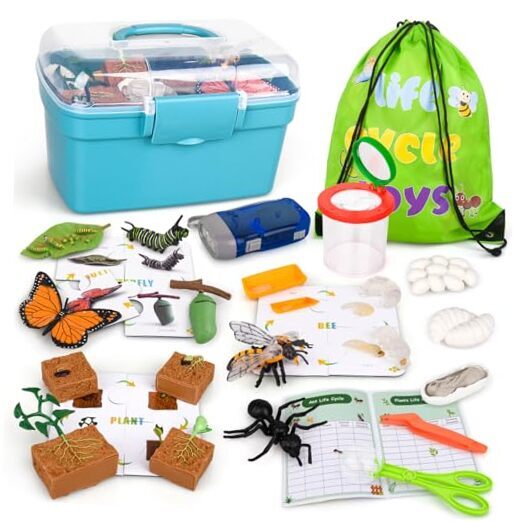 Life Cycle Learning & Education Toys, Montessori Butterfly, Bee, Ant, Plants