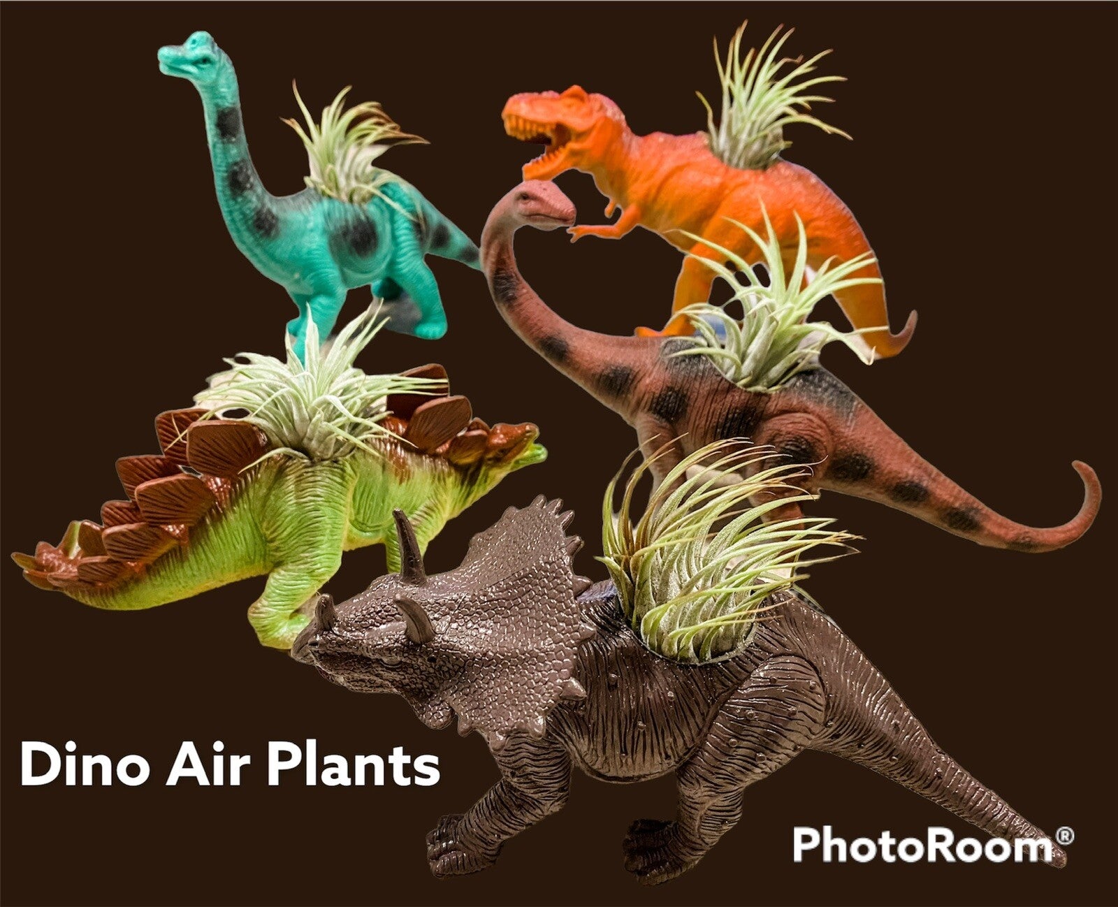 Dinosaur Planter With Air Plant
