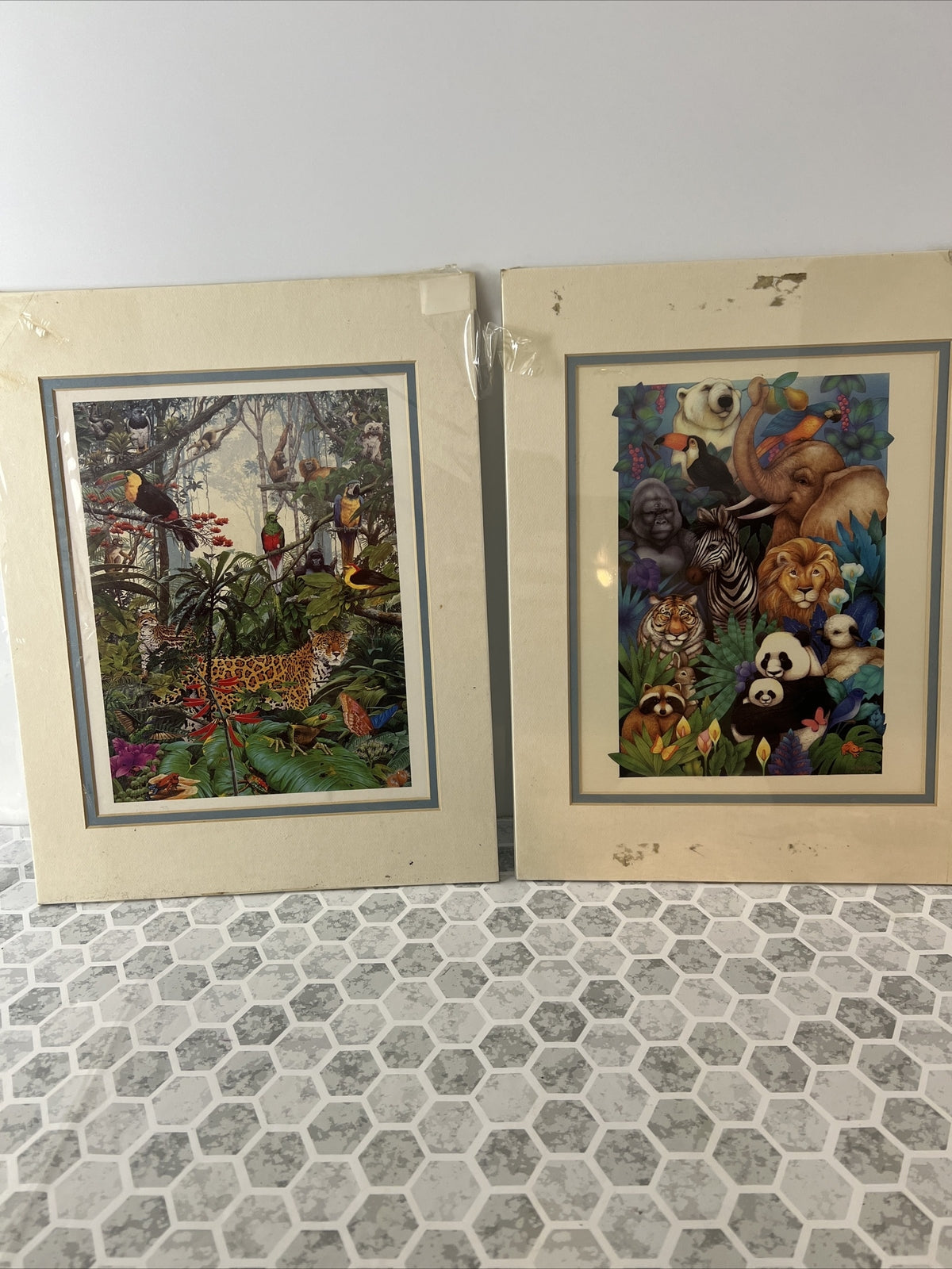 Set of 2 Paul Kart tee Lithograph 8x10 Wall Decor Animals Exotic Zoo Rainforest