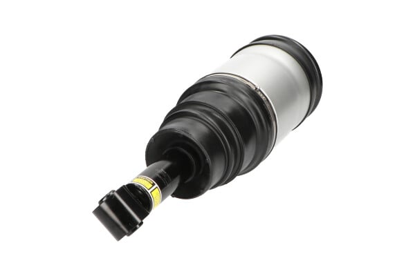 Air Suspension Strut KAVO PARTS SAS-10020