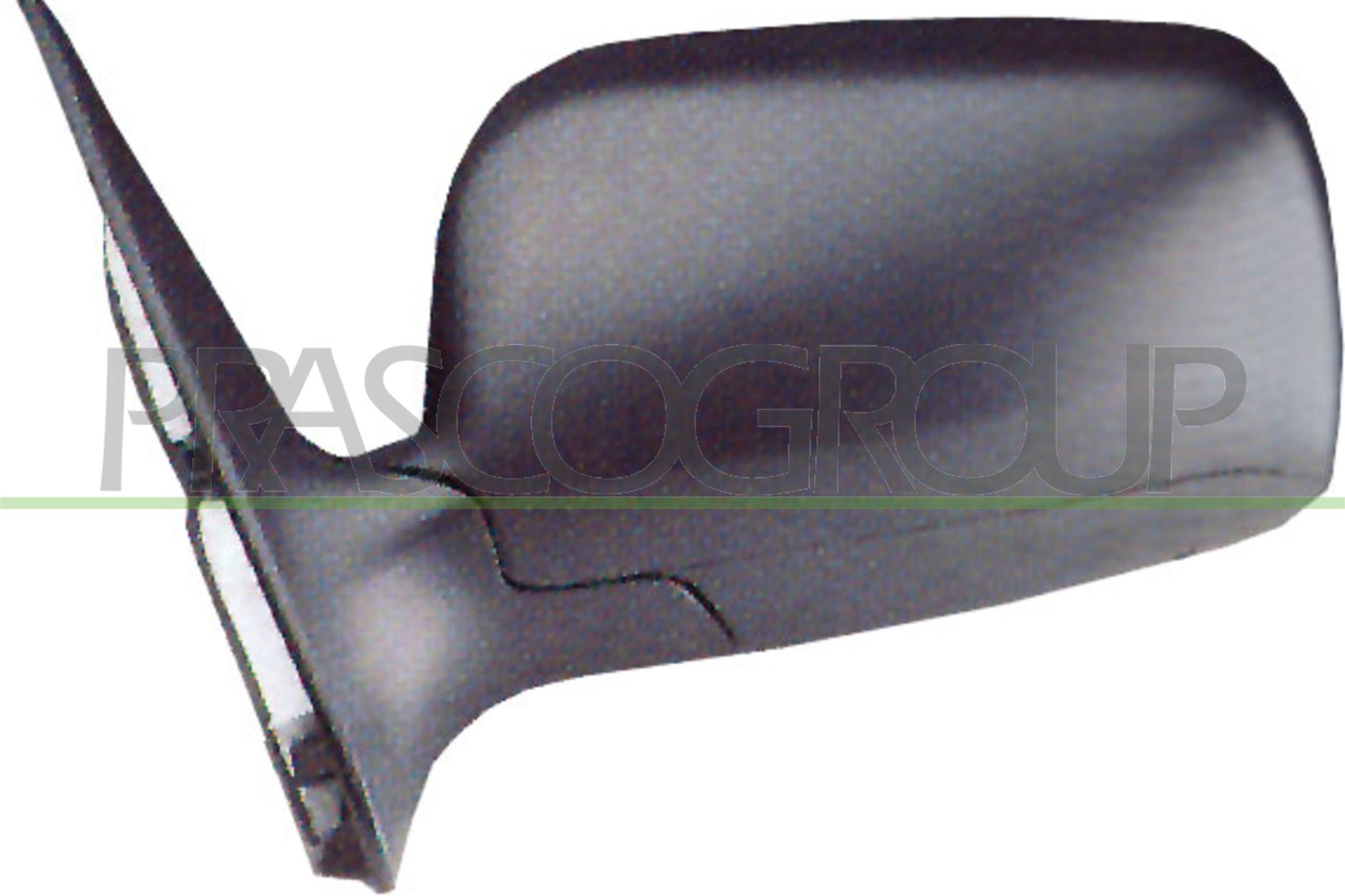 Exterior Mirror PRASCO SK3207304