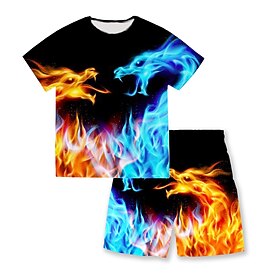 Para Meninos 3D Animal Dragão T-shirt  Shorts Conjunto Manga Curta Verão Primavera Esportes Moda Legal Poliéster Infantil 3-13 anos Ao ar livre Rua Esportes No
