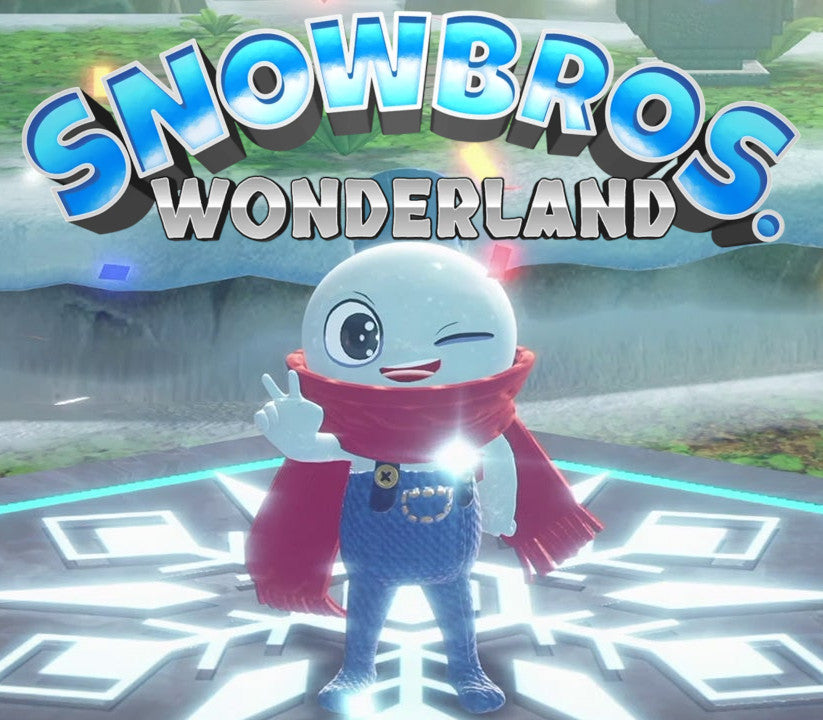 Snow Bros. Wonderland PC Steam CD Key