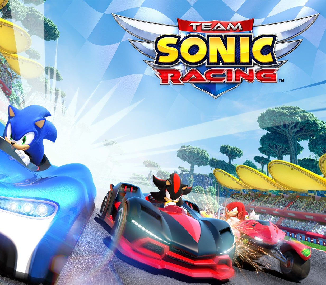Team Sonic Racing TR XBOX One - Xbox Series X|S CD Key