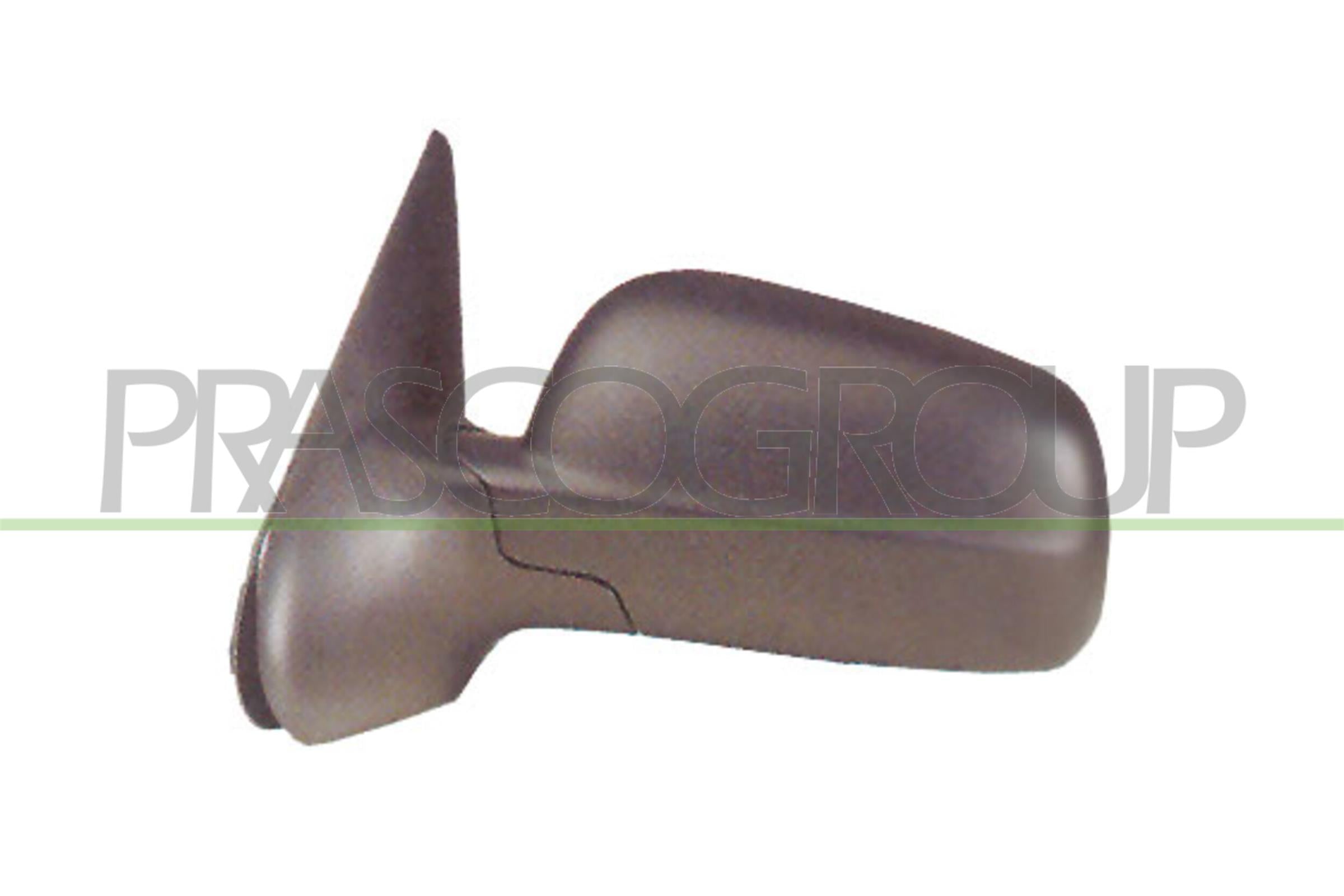 Exterior Mirror PRASCO ST0317314