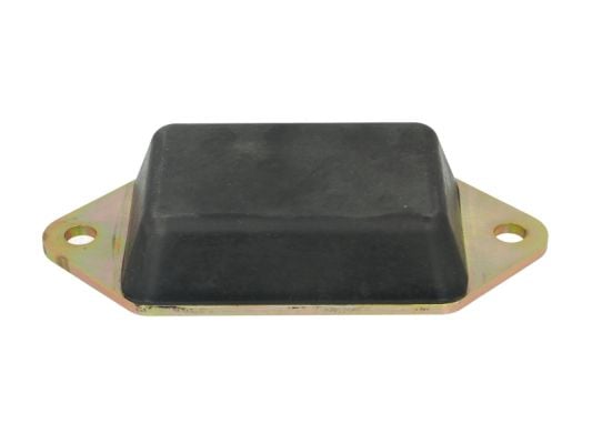 Bush, spring eye S-TR STR-1202156