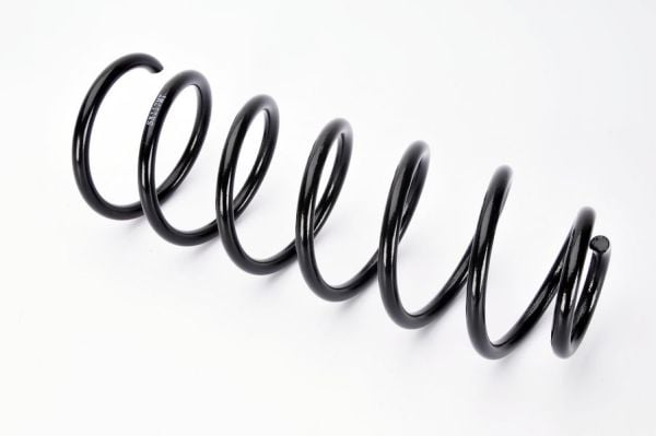 Coil Spring Magnum Technology SX117MT