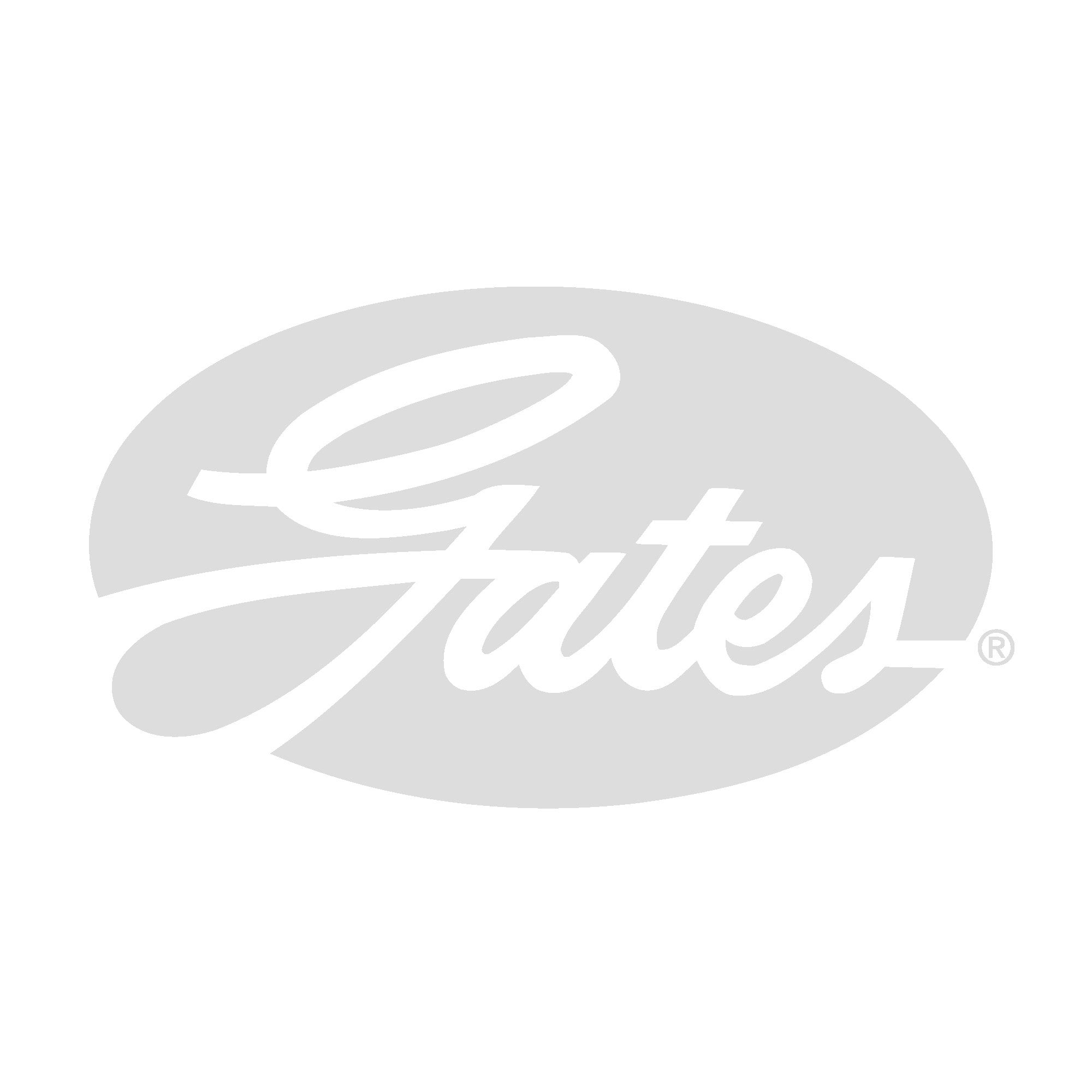 Belt Tensioner, v-ribbed belt GATES T38650