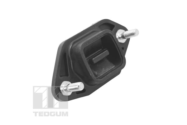 Engine Mounting TEDGUM TED14845