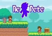RePete Steam CD Key