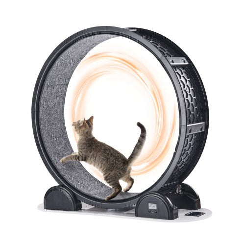 VEVOR Cat Exercise Wheel with Pedometer, 40.8 in, Cat Running Wheel with Brake & Carpeted Runway, Quiet Cat Treadmill for Indoor Cats Under 30lbs, Cat