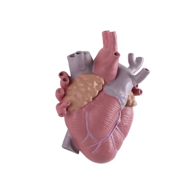 Seletti - Vase Love in Bloom - Multicolore - Porcelaine - Designer Marcantonio