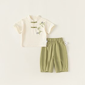 2 Peças Infantil Para Meninos Camisa  Shorts Equipamento Bloco de cor Manga Curta Definir Ao ar livre Vintage Verão 3-7 anos BegeVerde